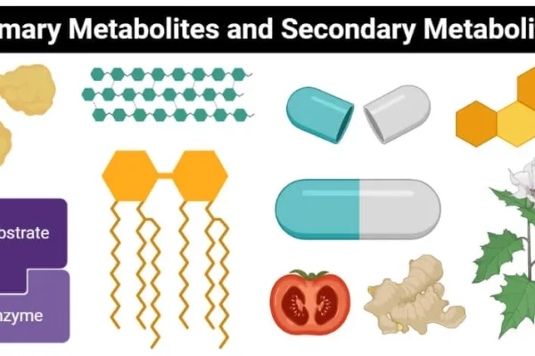 Primary and Secondary Metabolites, and Semantides in Plant Taxonomy