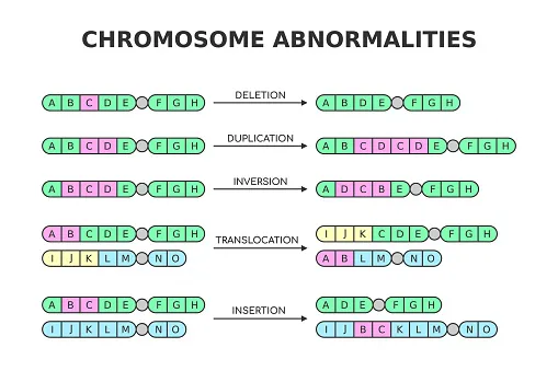 Types Chromosomal Structural Aberation