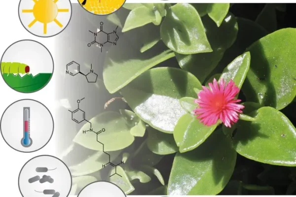 secondary metabolites