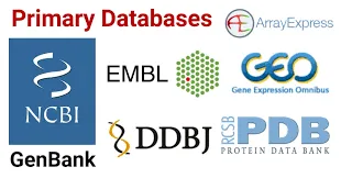 Biological Databases