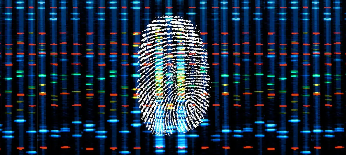 DNA Fingerprint